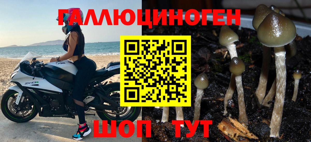 Галлюциногенные грибы прущие грибы  Вход с VPN  Алушта  Псилоцибиновые грибы Magic Shrooms 
