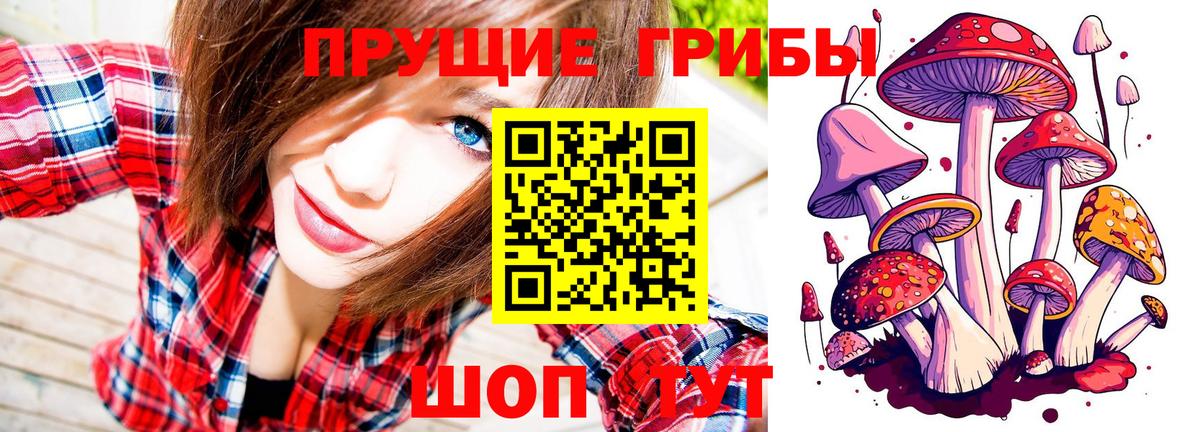Галлюциногенные грибы GOLDEN TEACHER Алушта